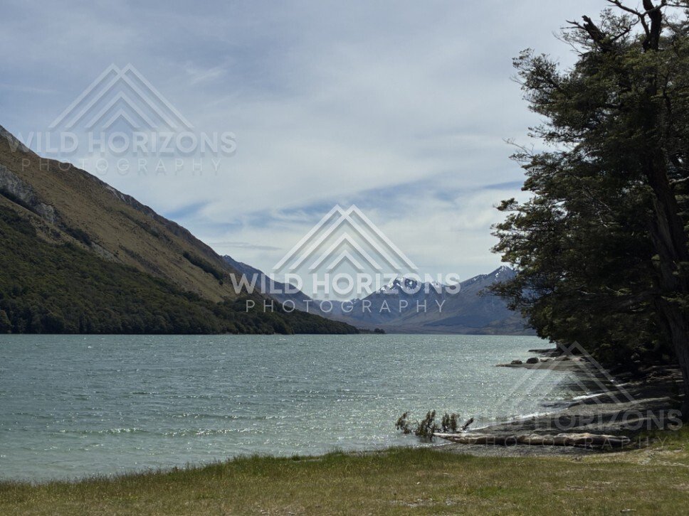 Mountain lake framed by forested slopes. Manapouri, New Zealand.