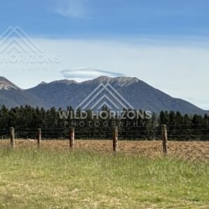 Open farmland with mountain backdrop. Rural Southland, New Zealand.