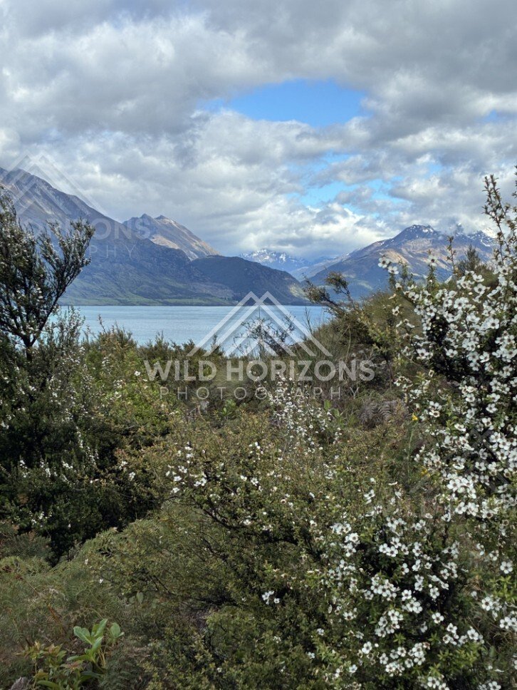Lakeside vegetation framing mountain and lake view. Glenorchy, New Zealand.