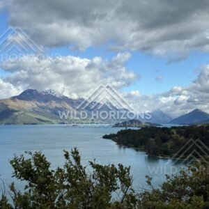 Mountain lake framed by native shrubs and distant peaks. Glenorchy, New Zealand.