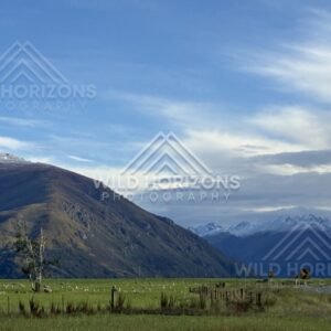 Rolling hills and distant mountain ranges beside farmland. Southland, New Zealand.