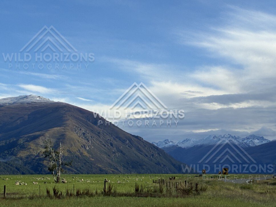 Rolling hills and distant mountain ranges beside farmland. Southland, New Zealand.