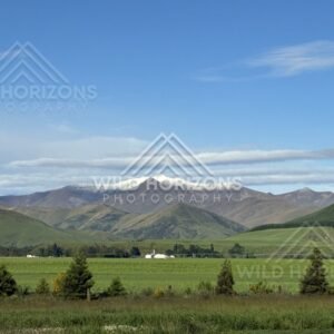 Wide valley with farmland and snow-dusted peaks. Southland, New Zealand.