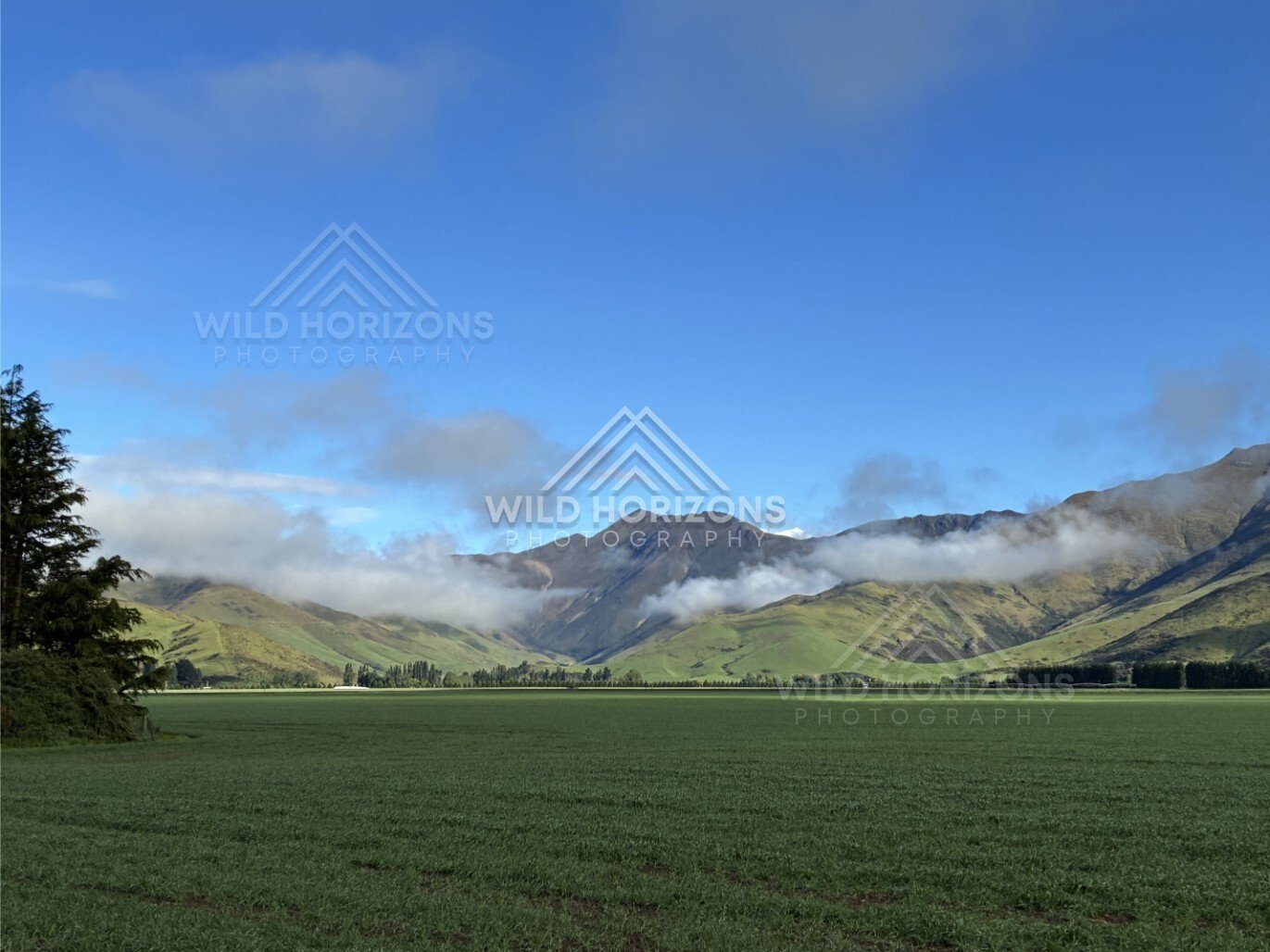 Farmland with mountain range under clear sky. Southland, New Zealand.