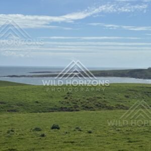 Rolling farmland and distant coastline. Slope Point, New Zealand.