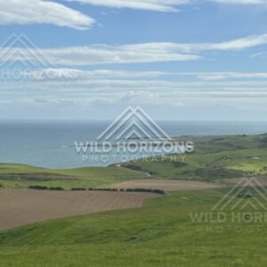 Coastal headlands and open pasture under blue sky. Slope Point, New Zealand.