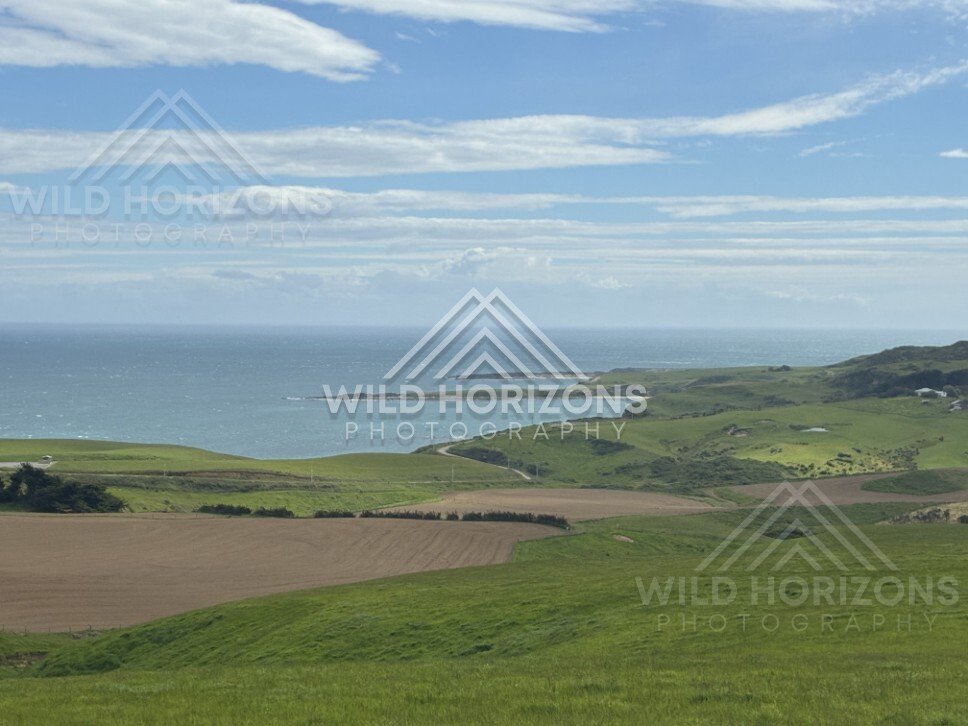 Coastal headlands and open pasture under blue sky. Slope Point, New Zealand.