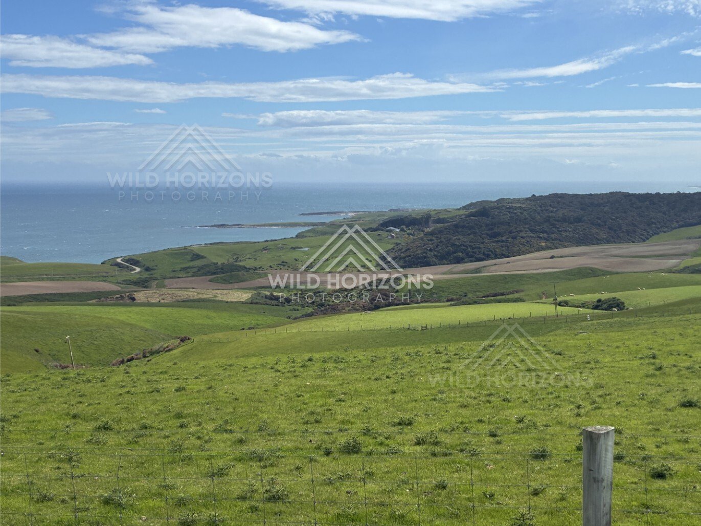 Green hills overlooking rocky coastline. Slope Point, New Zealand.