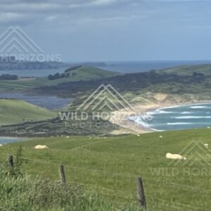 Curving beach and headlands seen from hillside. Catlins, New Zealand.