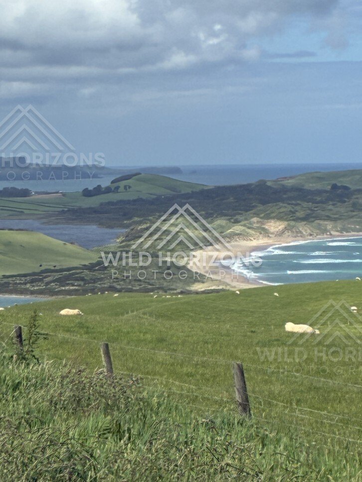 Curving beach and headlands seen from hillside. Catlins, New Zealand.