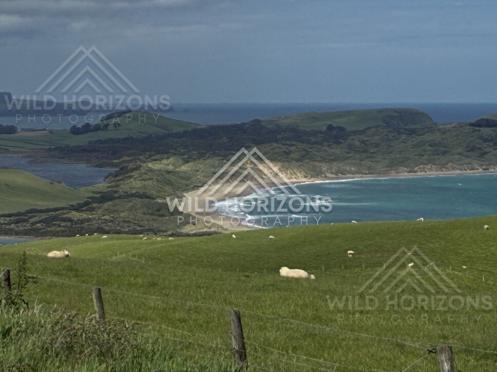 Wide sandy bay and surrounding green hills. Catlins, New Zealand.