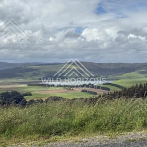 Rural valley with patchwork farmland and hills. Catlins, New Zealand.