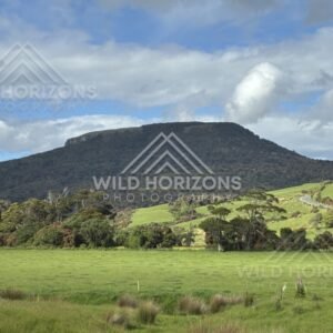 Rolling green hills beneath broad sky. Catlins, New Zealand.