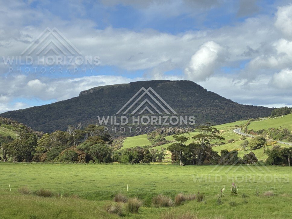 Rolling green hills beneath broad sky. Catlins, New Zealand.