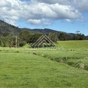 Pasture and trees with forested hills beyond. Catlins, New Zealand.