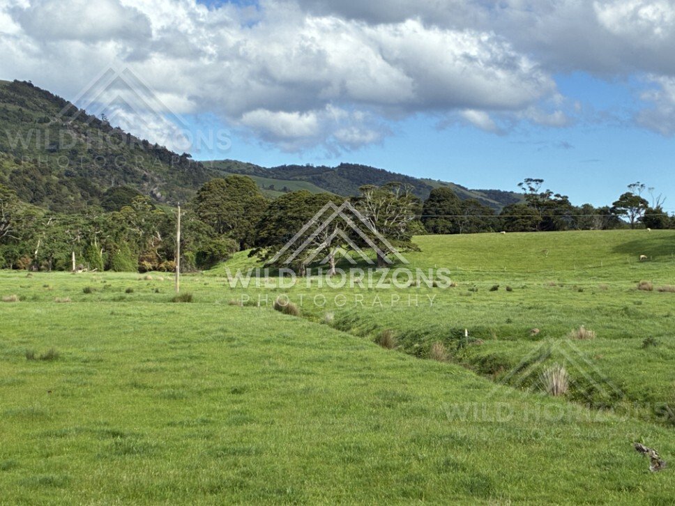 Pasture and trees with forested hills beyond. Catlins, New Zealand.