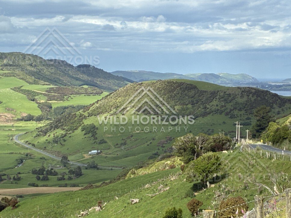 Patchwork farmland and winding road from hillside. Catlins, New Zealand.