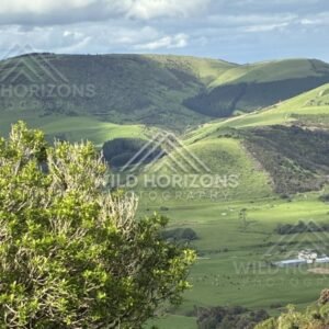 Green valley and layered hills under scattered cloud. Catlins, New Zealand.