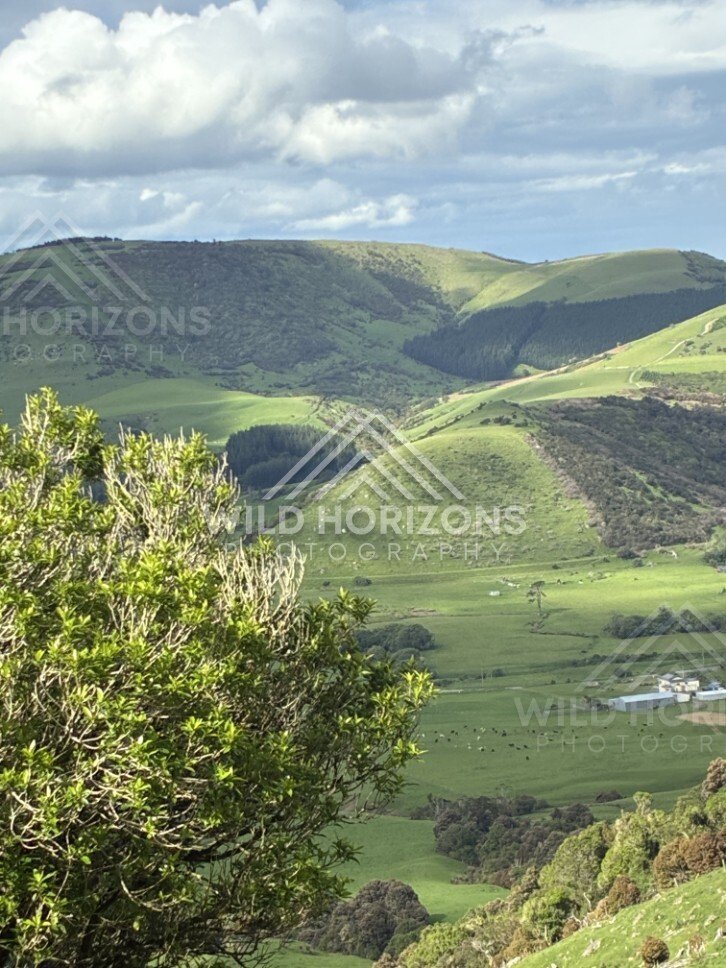 Green valley and layered hills under scattered cloud. Catlins, New Zealand.