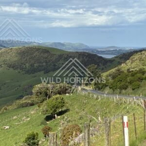 Rural fence line overlooking rolling hills. Catlins, New Zealand.