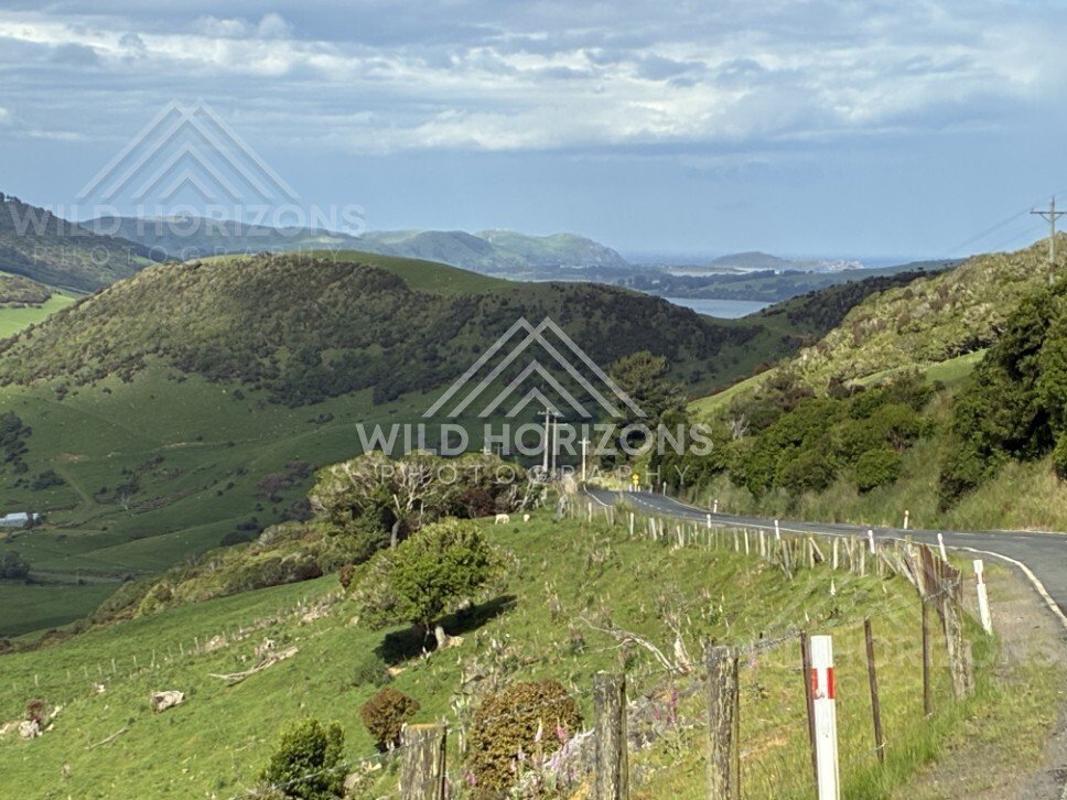 Rural fence line overlooking rolling hills. Catlins, New Zealand.