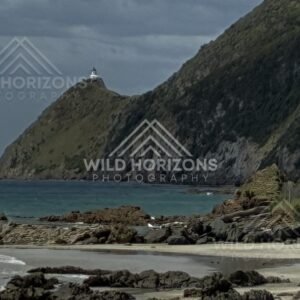 Cliffs and turquoise water in sheltered cove. Nugget Point, New Zealand.