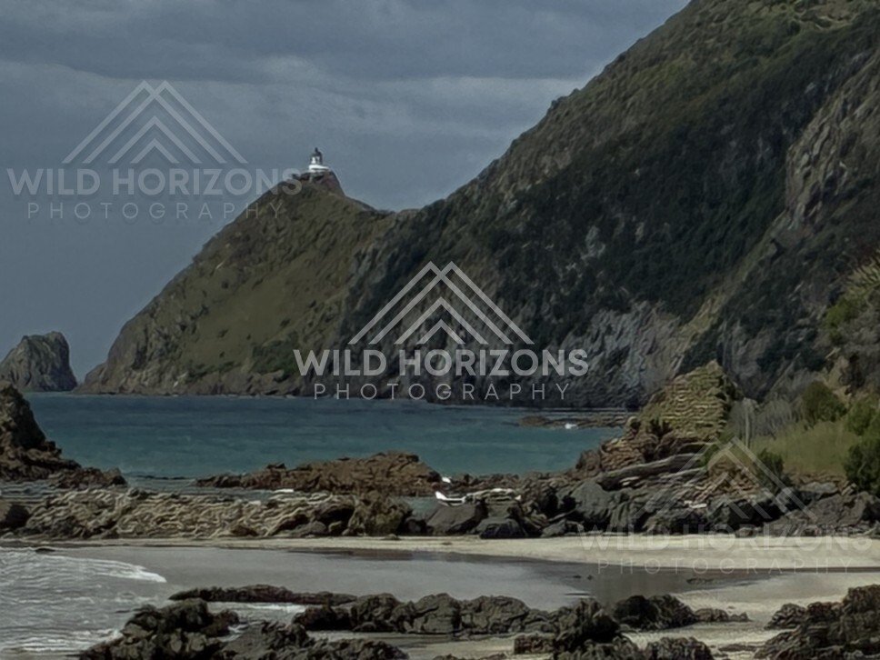 Cliffs and turquoise water in sheltered cove. Nugget Point, New Zealand.