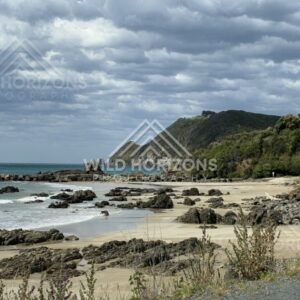 Rock platforms and distant headland under cloud. Nugget Point, New Zealand.