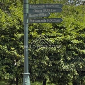 Directional signpost beside tree in city street. Dunedin, New Zealand.