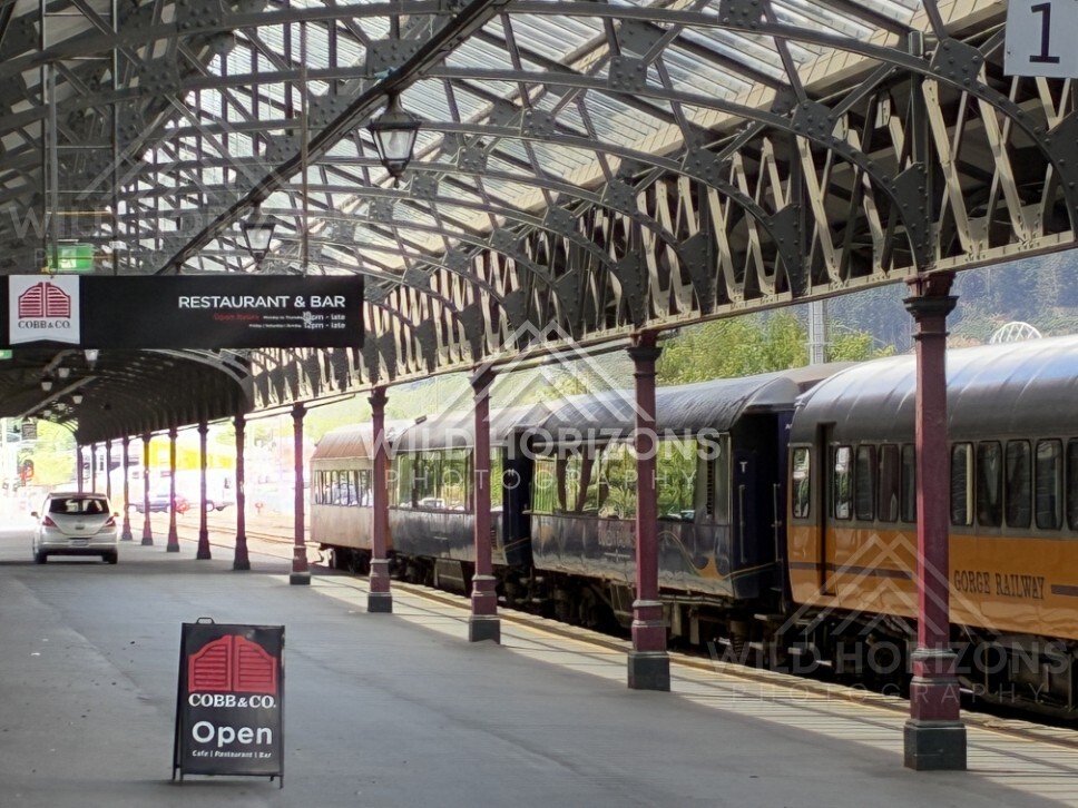 Passenger train at platform beneath historic roof. Dunedin, New Zealand.