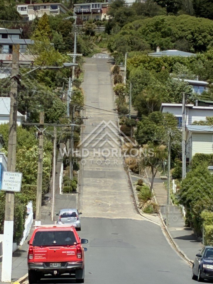 Steep residential street with houses and parked car. Dunedin, New Zealand.