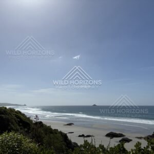 Rocky shoreline and headland beneath overcast sky. Blackhead Beach, New Zealand.