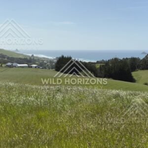 Rolling hills and rural farmland under open sky. Saddle Hill, New Zealand.