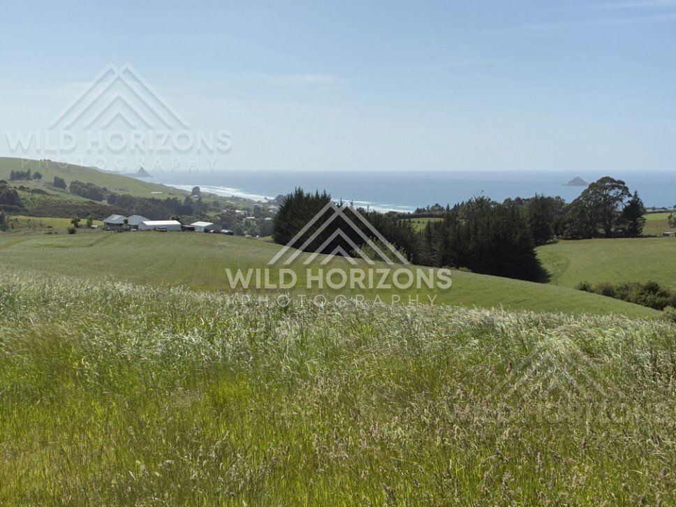 Rolling hills and rural farmland under open sky. Saddle Hill, New Zealand.