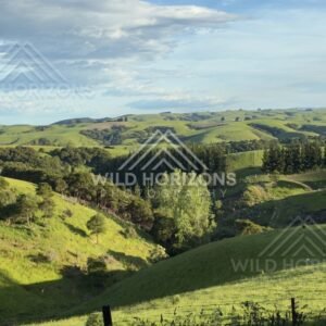 Rolling hills and rural farmland under open sky. Saddle Hill, New Zealand.