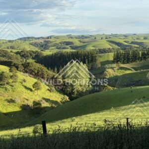 Rolling hills and rural farmland under open sky. Saddle Hill, New Zealand.