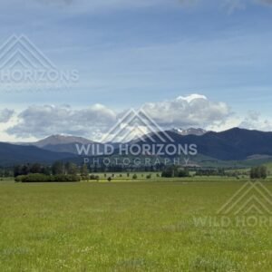 Forest and lakeside landscape under soft light. Manapouri, New Zealand.