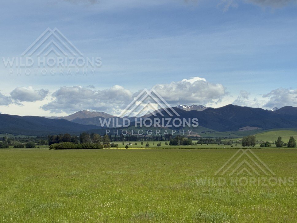 Forest and lakeside landscape under soft light. Manapouri, New Zealand.