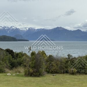 Forest and lakeside landscape under soft light. Manapouri, New Zealand.