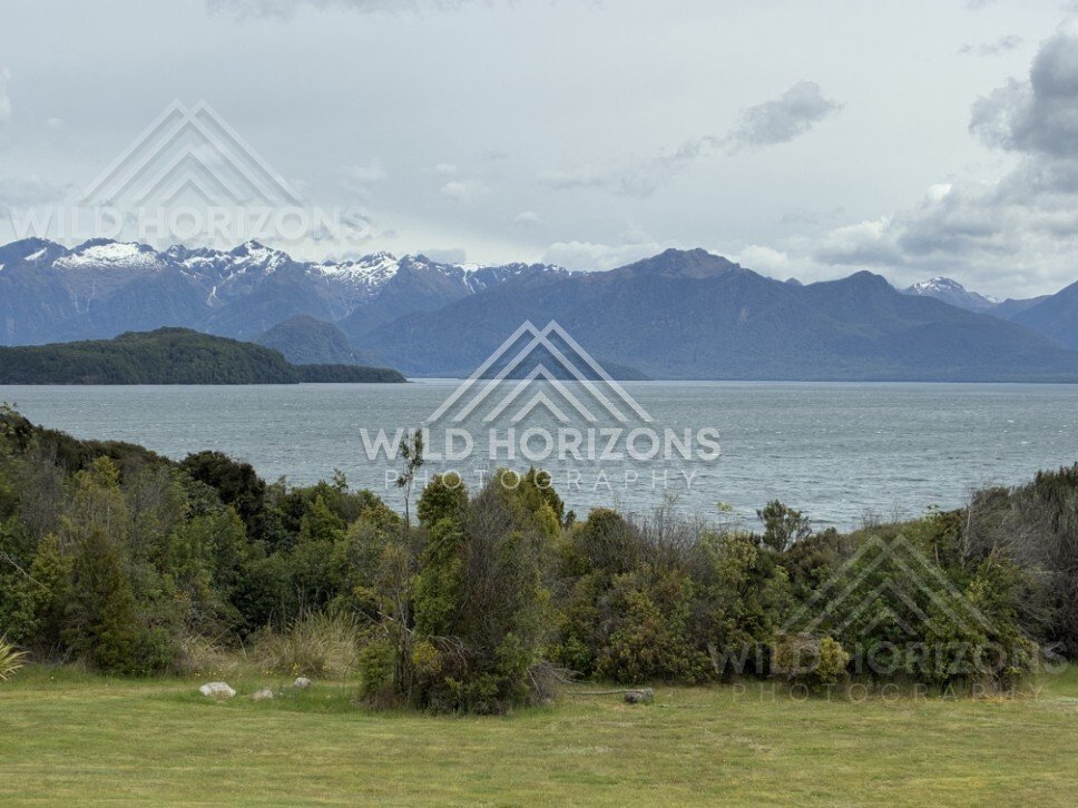 Forest and lakeside landscape under soft light. Manapouri, New Zealand.