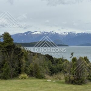 Forest and lakeside landscape under soft light. Manapouri, New Zealand.