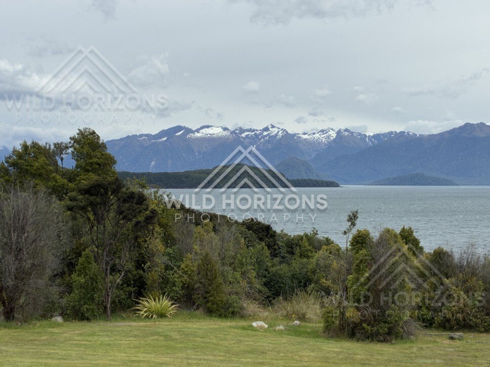Forest and lakeside landscape under soft light. Manapouri, New Zealand.