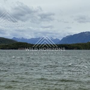 Forest and lakeside landscape under soft light. Manapouri, New Zealand.