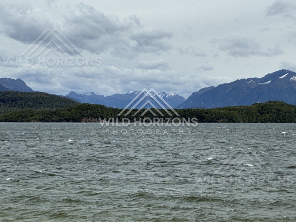 Forest and lakeside landscape under soft light. Manapouri, New Zealand.