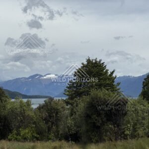 Forest and lakeside landscape under soft light. Manapouri, New Zealand.