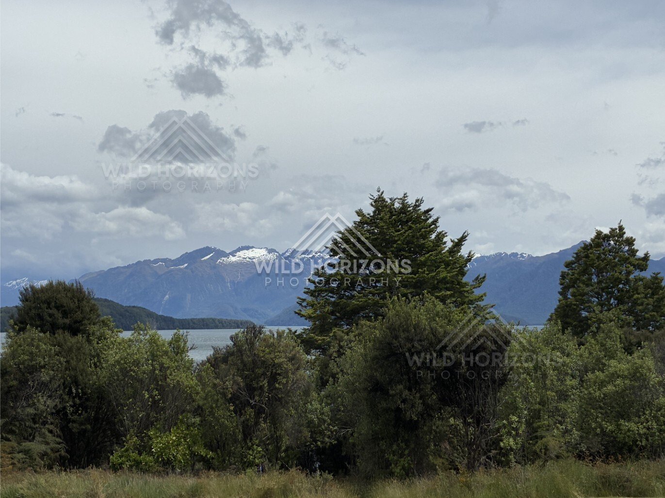 Forest and lakeside landscape under soft light. Manapouri, New Zealand.