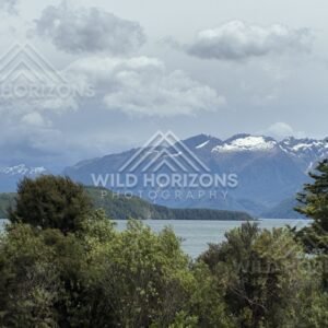 Forest and lakeside landscape under soft light. Manapouri, New Zealand.