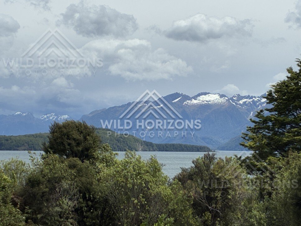 Forest and lakeside landscape under soft light. Manapouri, New Zealand.
