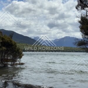 Forest and lakeside landscape under soft light. Manapouri, New Zealand.