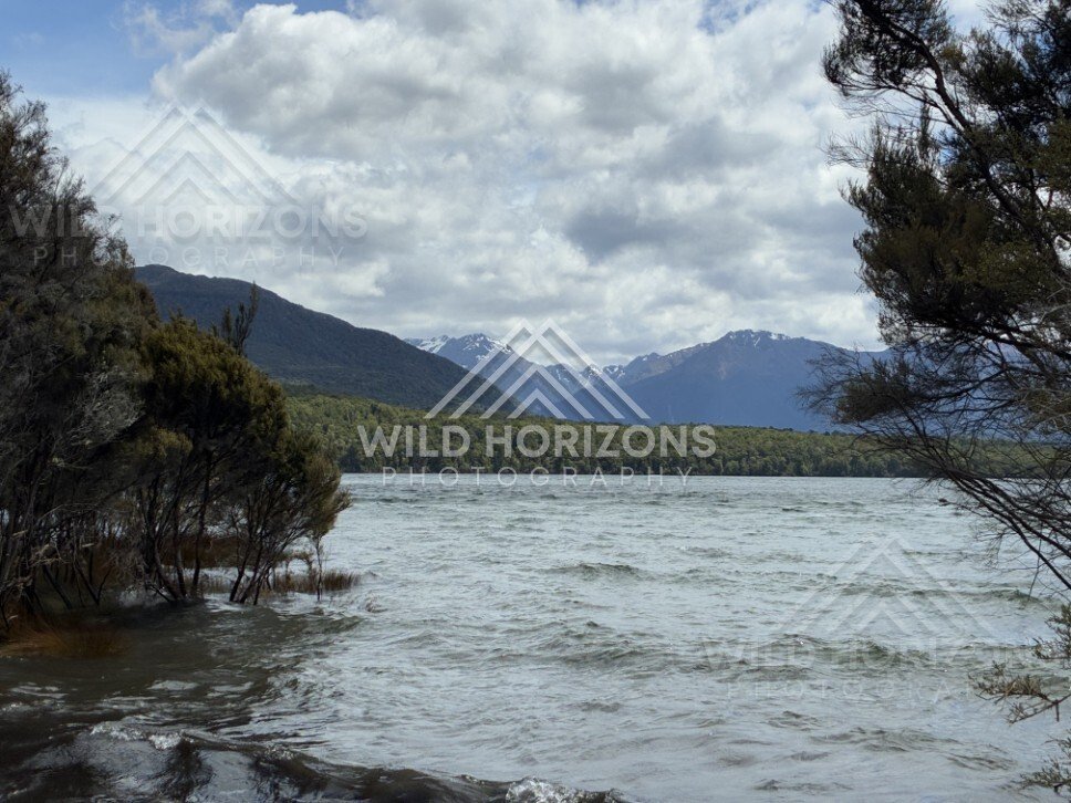 Forest and lakeside landscape under soft light. Manapouri, New Zealand.